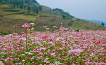Bình đẳng thương yêu tất cả chúng sanh